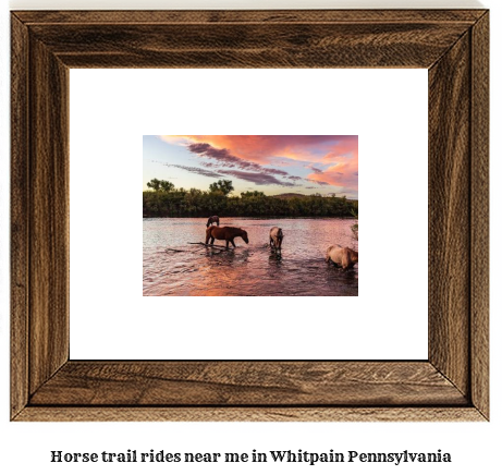 horse trail rides near me in Whitpain, Pennsylvania